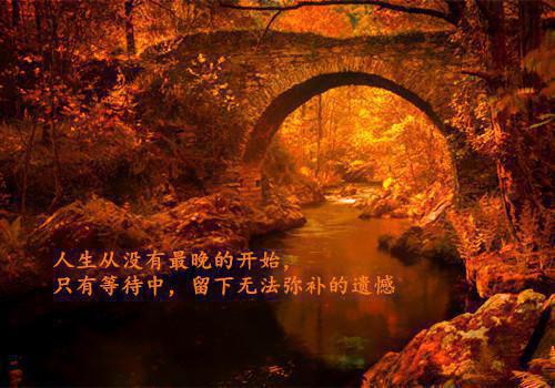 班主任工作教育成功的案例