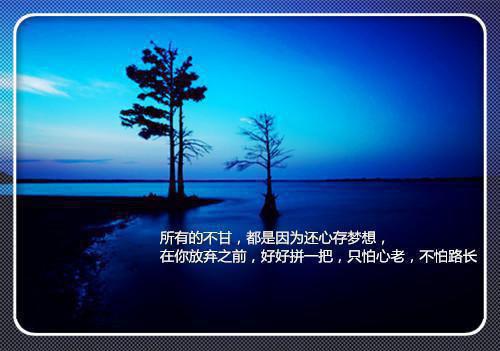 重阳节的诗句——《九日登长城关楼》