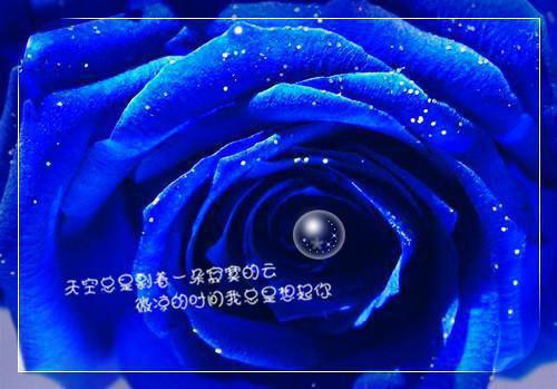 安全常识广播稿