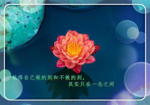 优美的伤感爱情散文随笔