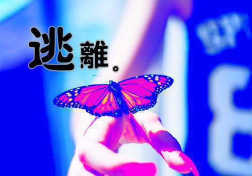 小故事大智慧大全集精选