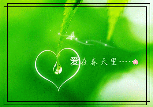 一句话心情经典语录