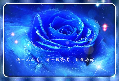 感恩的名人名言汇总