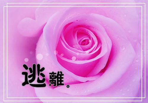 关于移动公司员工辞职报告