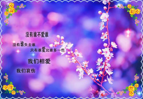 傅语烟周少瑾小说(重回八零竹马团长难许情)全文+后续（傅语烟周少瑾）畅享阅读