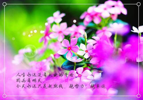 教育的名人名言