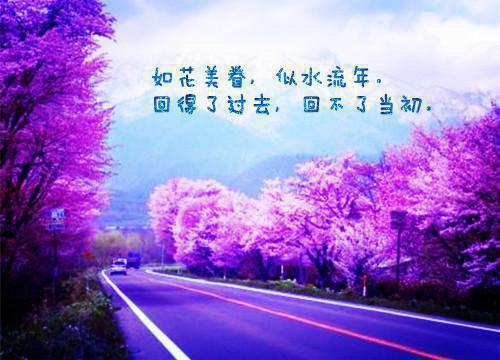 商界精英的成功之道：坚持自己的兴趣爱好