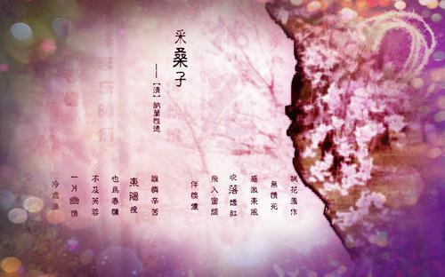 韩瑾年,秦心悦：+后续热血十足 放弃爱一个人：结局+番外评价五颗星