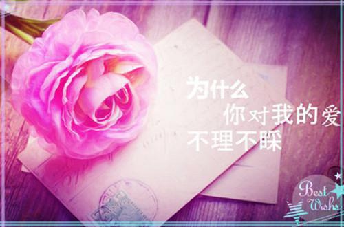 【实用】年终工作总结汇编9篇