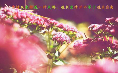 感恩的诗歌——《十五》