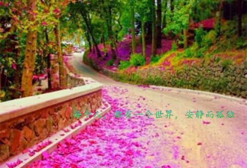 朋友生日答谢词