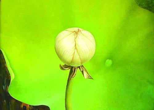 人生感悟故事：真诚不等于实话实说