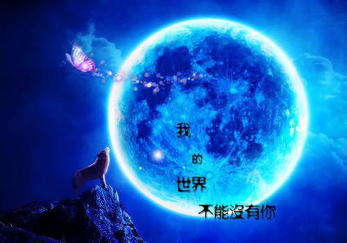 表白情书大全短语