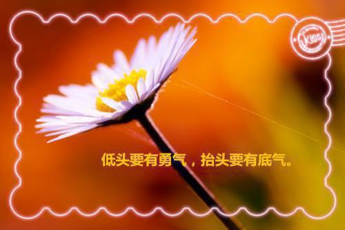 教师青年求职信范文