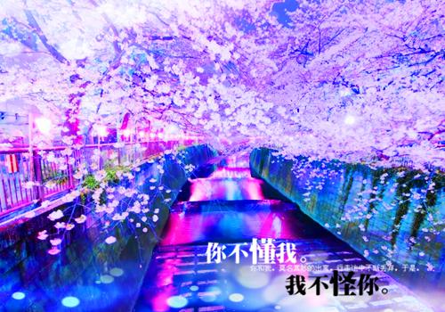 睡前温馨童话小故事文字版锦集【四篇】