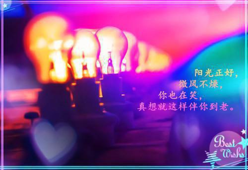 苏澈,苏神,杨琛特别篇章节目录+章节前文（长亭尽头，孤灯未明）TXT清爽版在线