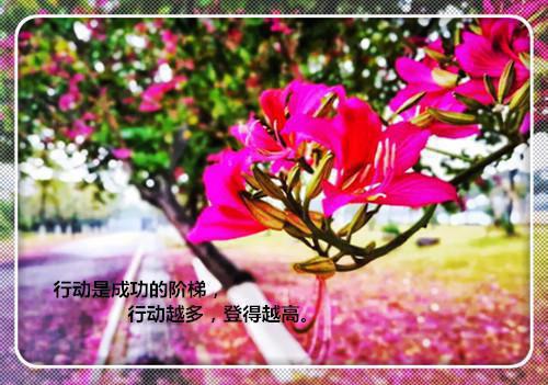 【热门】简单辞职报告范文汇总九篇