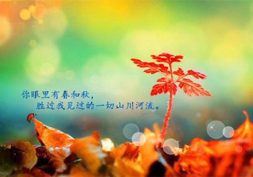 姜绾宋九渊(姜绾宋九渊)全文免费阅读无弹窗大结局_(姜绾宋九渊免费阅读全文大结局)最新章节列表_笔趣阁（姜绾宋九渊）