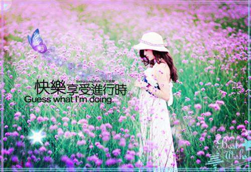 春风误入秋霜径：结局+番外（林叙言姜若雪）最新章节列表_春风误入秋霜径：结局+番外（林叙言姜若雪）全文+后续+结局在线阅读