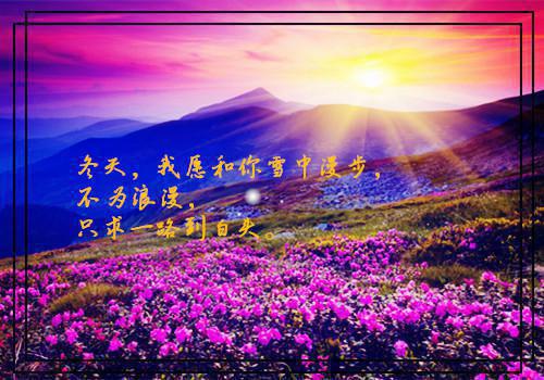 关于精美散文摘抄600字