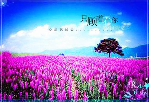 形容人生失意的诗句