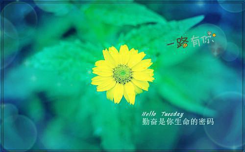 朗诵英文诗歌