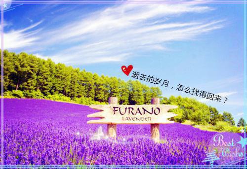 迎宾员辞职报告