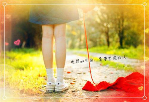 关于幼教的实习生的自我鉴定