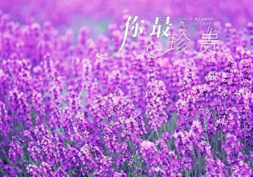 编写寓言故事教案