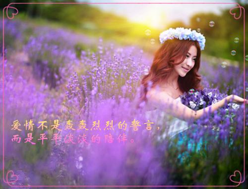 周葵陈茉全文免费阅读（绝梦茉莉小说）全文免费周葵陈茉读无弹窗大结局_（绝梦茉莉小说周葵陈茉）绝梦茉莉小说最新章节列表_笔趣阁（周葵陈茉）
