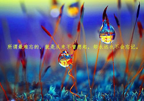 (番外)+(全文)行至爱情消散处（江言傅秦书雅）全文免费阅读无弹窗大结局_(行至爱情消散处)最新章节列表_笔趣阁（江言傅秦书雅）