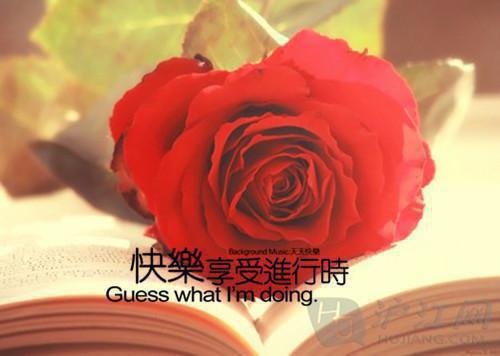 每日励志正能量语录