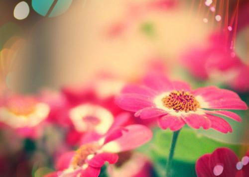 与中秋节有关的古诗
