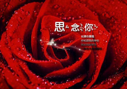 诗经名句——《诗经·击鼓》