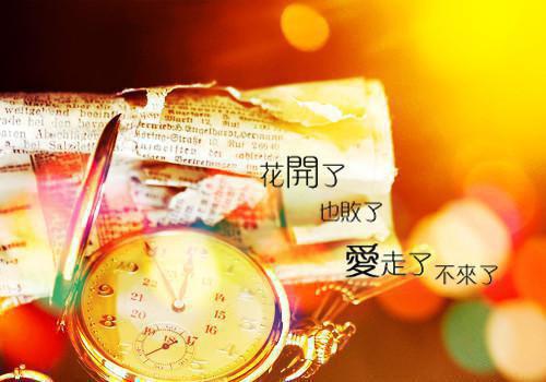 经年风不止：结局+番外+后续顾清欢小说全文免费阅读