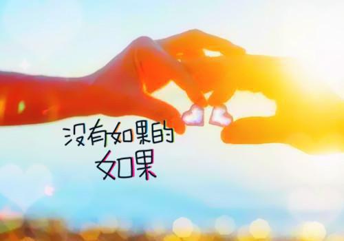 2023年教务主任述职报告