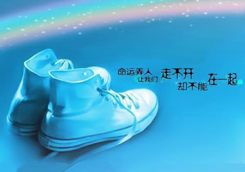 【精华】教师个人工作总结范文集锦八篇