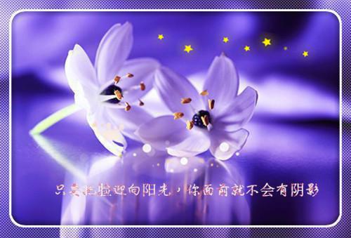 优秀散文欣赏短篇