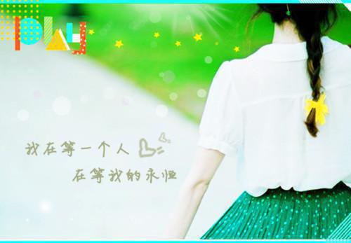 关于鹦鹉的故事鹦鹉放烟火