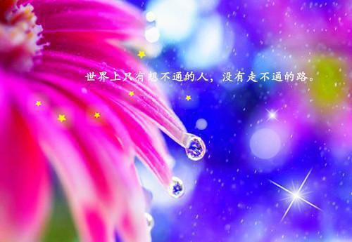 紫色年华中的经典语句