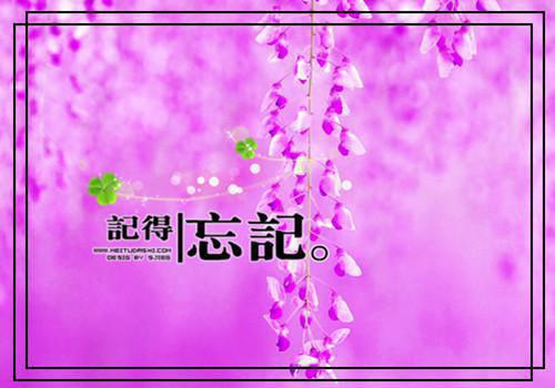 美术教师年度总结合集六篇