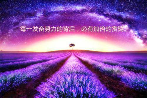 特工老婆变心后，我选择假死离开：全文+后续（周泽轩江雪曦许远舟）全文免费阅读无弹窗大结局_（周泽轩江雪曦许远舟免费阅读全文大结局）最新章节列表_笔趣阁（周泽轩江雪曦许远舟）