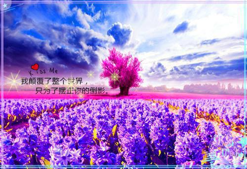 咏物诗——《咏风》