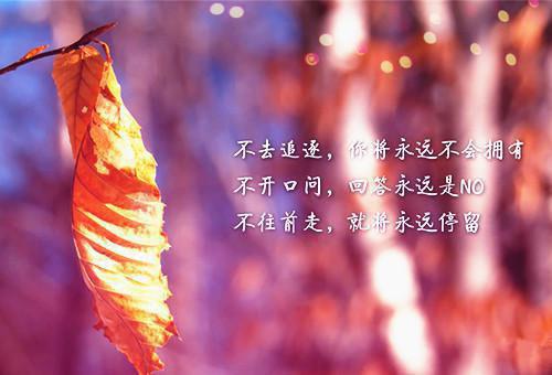 800字优美散文精选3篇