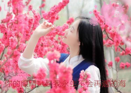 私奔女租客（白小恬李辉）全文免费阅读无弹窗大结局_私奔女租客最新章节列表_笔趣阁（白小恬李辉）