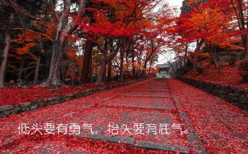 周一祝福短信：周末快乐又美好