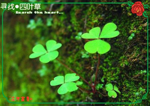 公主故事童话故事大全精选