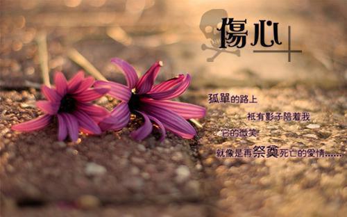 八百字抒情散文3篇