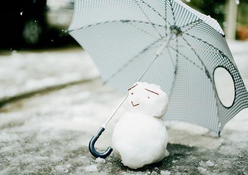 金丝雀跑路后，黑道太子爷悔疯了：全集免费阅读林晓薄妄完结版免费阅读_金丝雀跑路后，黑道太子爷悔疯了：全集免费阅读林晓薄妄抖音小说全文阅读_金丝雀跑路后，黑道太子爷悔疯了：全集免费阅读林晓薄妄抖音小说全本阅读