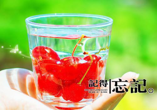爱在末世说别离小说章节目录+章节前文（顾枭野苏时锦）TXT清爽版在线
